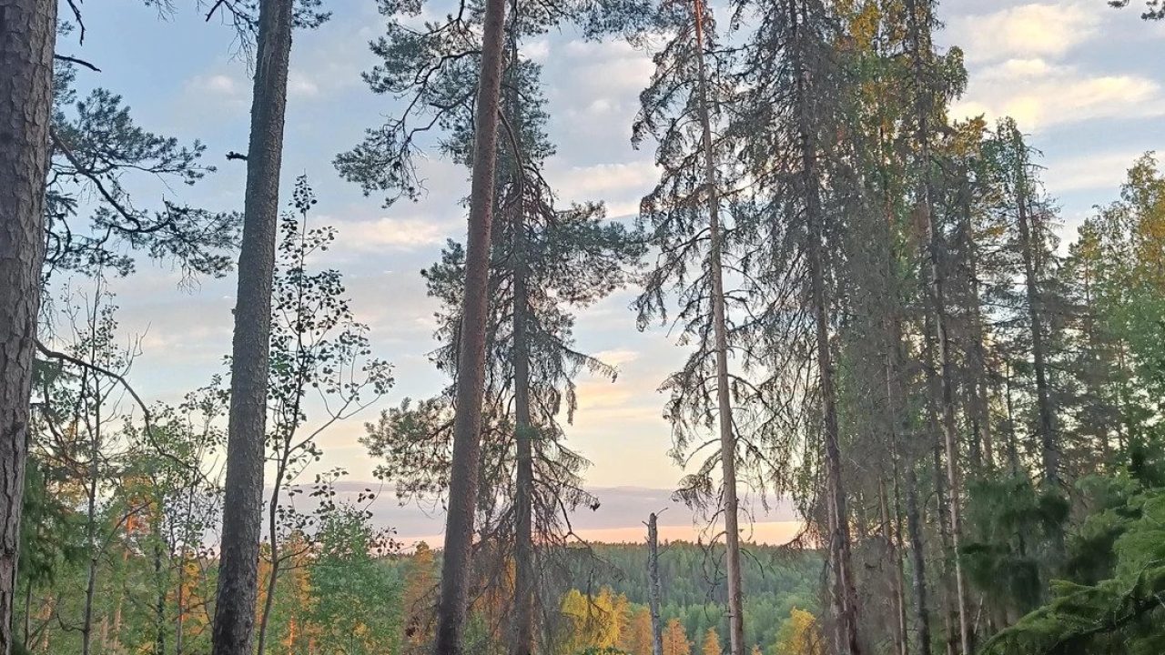 ezgif.com-webp-to-jpg (1)